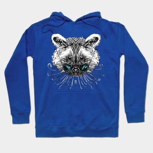 Cool Raccoon Color Hoodie